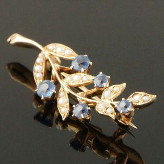 Antique c - 1900 Solid 14K Gold Blue Sapphire & Seed Pearl Floral Motif Pin Brooch 5