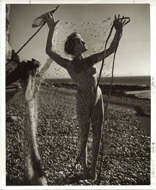 Junge Frau Nackt Akt Nude Netz Freie Körper Kultur Xl Vintage Jaybird C.  1965