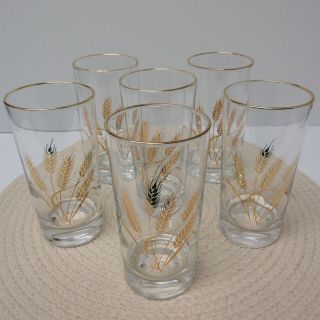 Vintage Libbey Glassware Drinking Glasses Wheat With Gold Trim Mcm Set Of 6