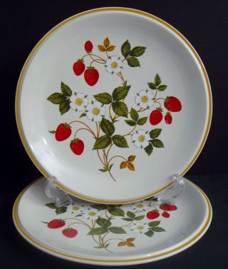 2 Vintage Sheffield Strawberries N Cream Dinner Plates Stoneware Japan White 11 "