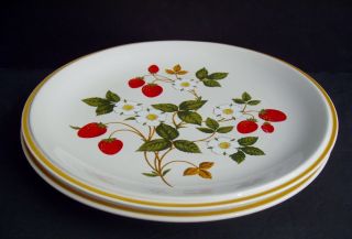 2 Vintage Sheffield Strawberries n Cream Dinner Plates Stoneware Japan White 11 