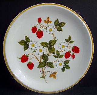 2 Vintage Sheffield Strawberries n Cream Dinner Plates Stoneware Japan White 11 