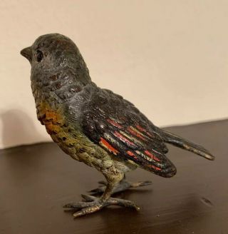 Antique Cold Painted Vienna Bronze Bird Wildlife Signed 3