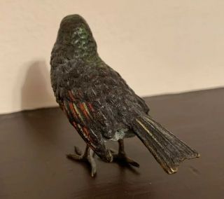 Antique Cold Painted Vienna Bronze Bird Wildlife Signed 4