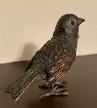 Antique Cold Painted Vienna Bronze Bird Wildlife Signed 5
