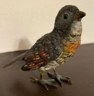 Antique Cold Painted Vienna Bronze Bird Wildlife Signed 6