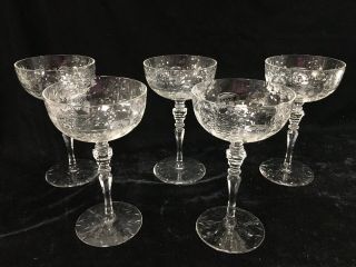 (5) Rock Sharpe ‘countess’ 6.  5 Inch Champagne/tall Sherbet Glasses