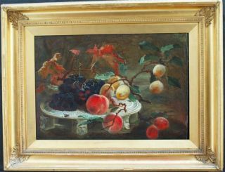 Fine 19th Century Still Life Fruits In Wooded L/s Signed Antique Oil Painting