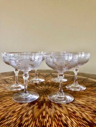 A Very Fine Set Of 6 Antique Champagne Coupe Glasses Etched With Vines