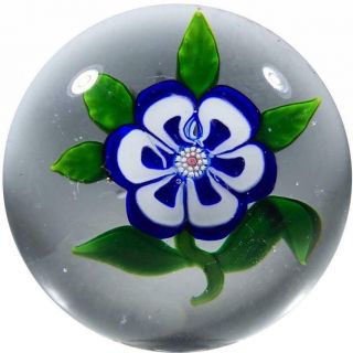 Antique Baccarat Art Glass Paperweight Lampwork Blue/white Primrose Paperweight