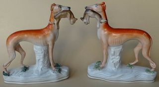 Antique Staffordshire Pottery Dog Pair Whippet Greyhound With Rabbit 1860 