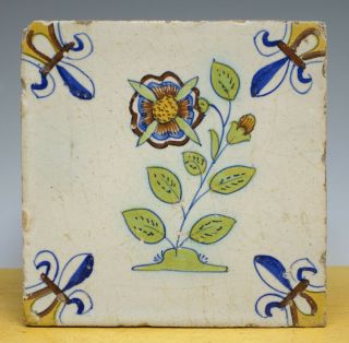 Antique Dutch Delft Maiolica Tile Flower Fleur - De - Lisse Circa 1625