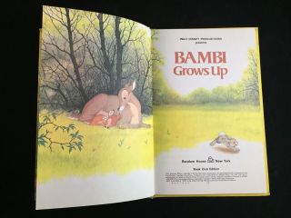 Vintage 1979 Walt Disney Productions Presents Bambi Grows Up Children ' s Book 2