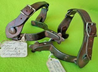 Crockett Antique Arizona Vbark Ranch Brand 1930 Cowboys Spurs &straps Nr