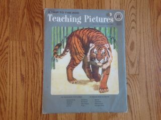 Vintage 1966 Teaching Pictures A Trip To The Zoo David C Cook 12 Charts