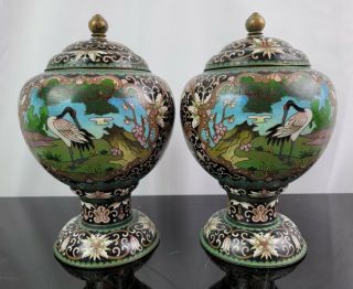 Mirror Pair Antique Chinese Cloisonne Lidded Urns Jars