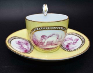 Antique 19thc Meissen Porcelain Cup & Saucer Hand Painted - Yellow En Camaieu