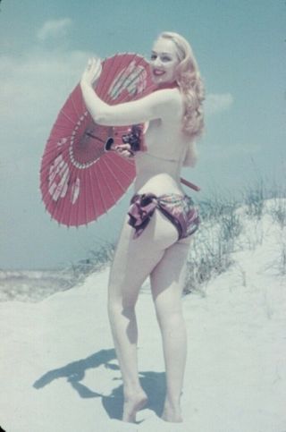 Vintage Pinup Color Slide Sexy Burlesque Lynne O 