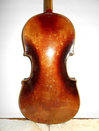 Old Vintage Antique " Ruggeri " 1 Pc Back Full Size Violin -