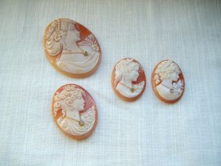 Antique Hand Carved Four Loose Coral Shells Signed Cameos Diamond Paste Stones