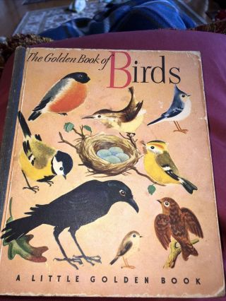 The Golden Book Of Birds 13 A Little Golden Book Vintage 1944 2nd Printing