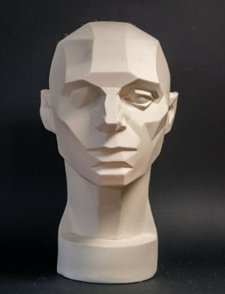 Plaster Cast,  John Asaro Planes Of The Head,  Art Study Dynamics Of The Head