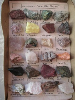 Vintage 1950 ' s (24) Rock Specimens from the Desert Minerals Gems Geology 2