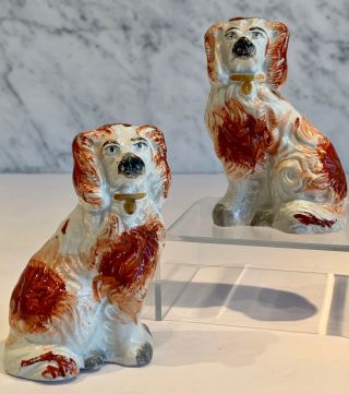 Pair Small Antique Victorian Staffordshire Spaniels Russet White 3 1/2 "