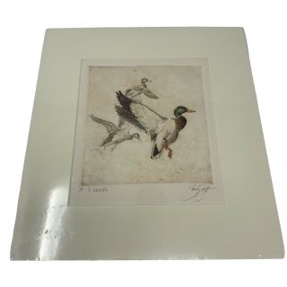 Vintage Sandy Scott 3 Drakes Artists Proof Etching Hand Colored Signed Mallard