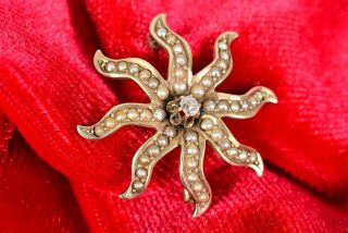 Victorian Antique 14 - 15k Seed Pearl Starburst Lapel Pin Or Pendant 2mm Diamond