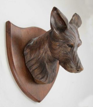 Vintage Carved Wood Dogs Head On Wall Mounted Shield Fox Hound Hunting