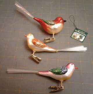 3 Vintage Mercks Old World Christmas Bird Ornaments Clip On Spun Glass Tails Nos