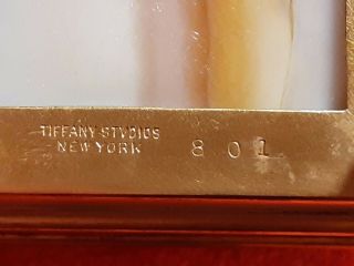 Antique Signed Tiffany Studios 801 Grapevine Box Bronze 3 compatment Slag glass 6