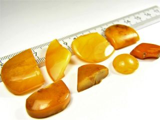 Vintage Baltic Amber Stones Old 10gr.  Butterscotch Egg Yolk Yellow 3185