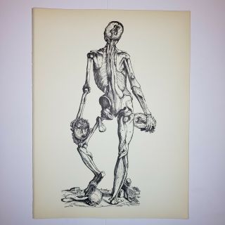 1950 Vintage Andreas Vesalius Print - Demonstration Of The Muscles (2) - Anatomy