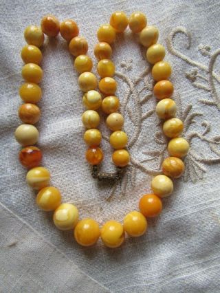 Stunning Antique / Vintage Real Egg Yoke Butterscotch Amber Beads 38.  1 Grams