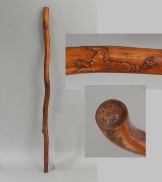 19thc Antique 1881 Folk Art Carved Wood Mythical Sea Horse Walking Stick Cane