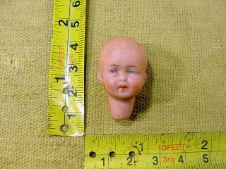 Excavated Small Vintage Painted Bisque Swivel Doll Head Age 1890 German A 15371