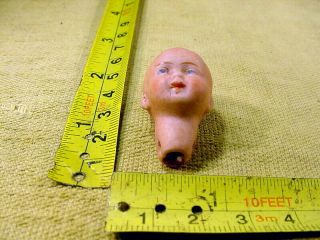 excavated small vintage painted bisque swivel doll head age 1890 German A 15371 2