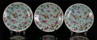 Three Antique Chinese Famille Rose Celadon Porcelain Bird Flower Plate Mk 19thc