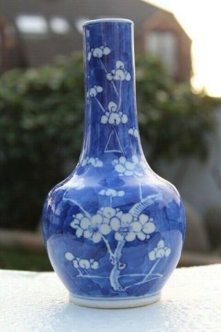 Antique Chinese Blue And White Prunus Blossom Vase Kangxi 19 Century 1801 - 1900