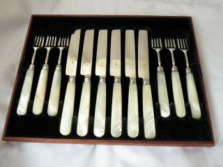 George Iv Sterling Silver & Mother Of Pearl Dessert / Fruit Cutlery Set 1825