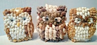 3 Adorable Seashell Owl Figurines Vintage Decor Phillipines