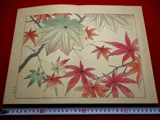 2 - 30 Japanese Flower Shiki Woodblock Print Book