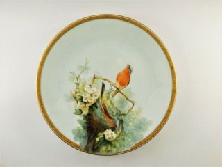 Antique Royal Worcester Hand Painted Plate With Birds Nestling Dated 1874 R288/2