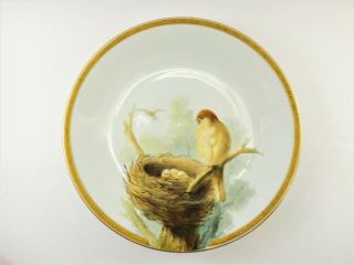 Antique Royal Worcester Hand Painted Plate With Birds Nestling Dated 1874 R288/1