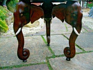 ANTIQUE INDIAN SIDE TABLE WITH 3 ELEPHANT HEAD LEGS 2