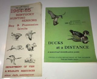 Vintage Ducks At A Distance - Waterfowl Identification Guide 1963 Hunting Decoys