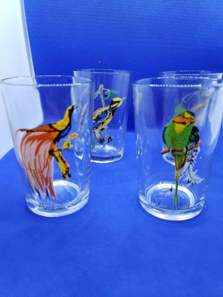 Vintage Exotic Bird Juice Glasses - Tumblers Set Of 4 By Kig Made In Malaysia