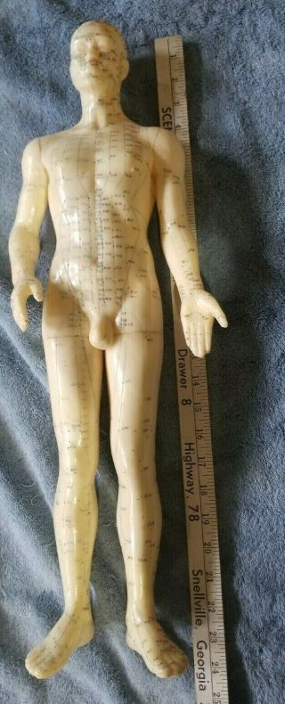 Vintage Acupuncture Dummy Rubber Doll Medical Model Male 23 In.  Tall.